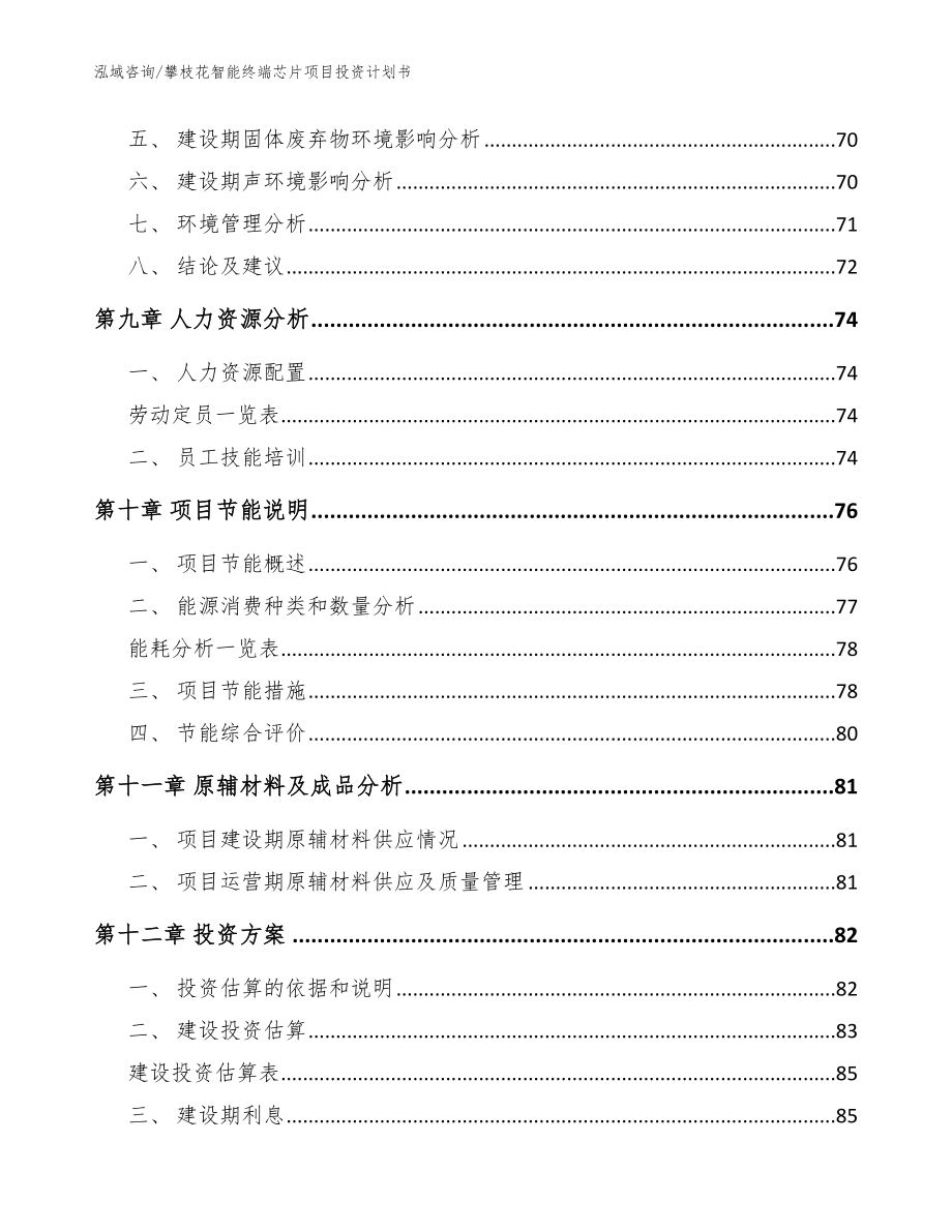 攀枝花智能终端芯片项目投资计划书（范文模板）_第4页