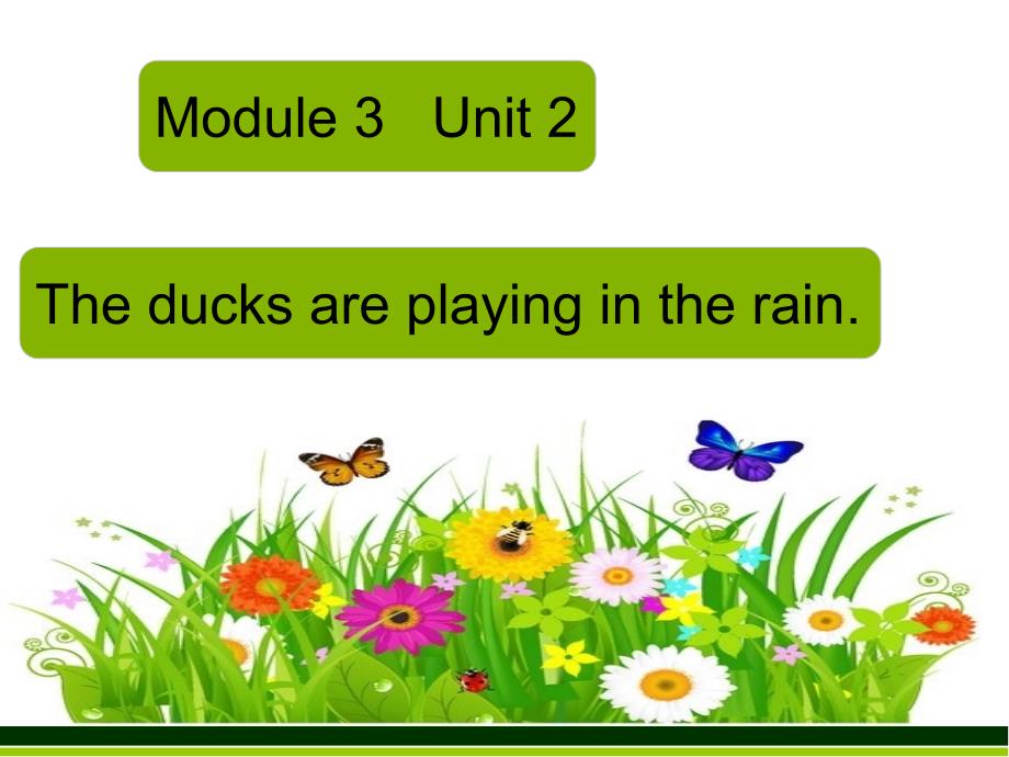 外研版小学英语Module 3 Unit 2 The ducks are playing in the rain._第2页