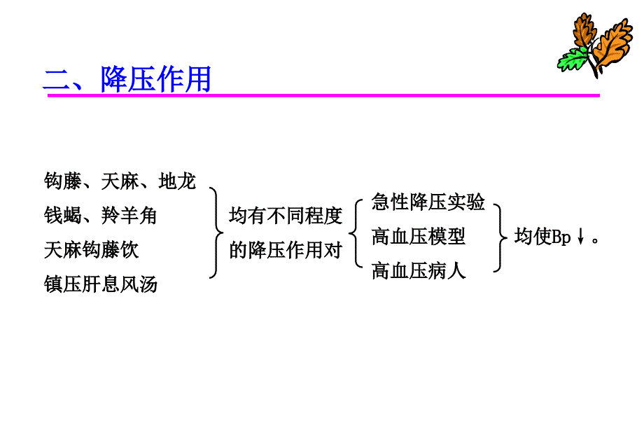 中药药理学平肝息风药_第4页