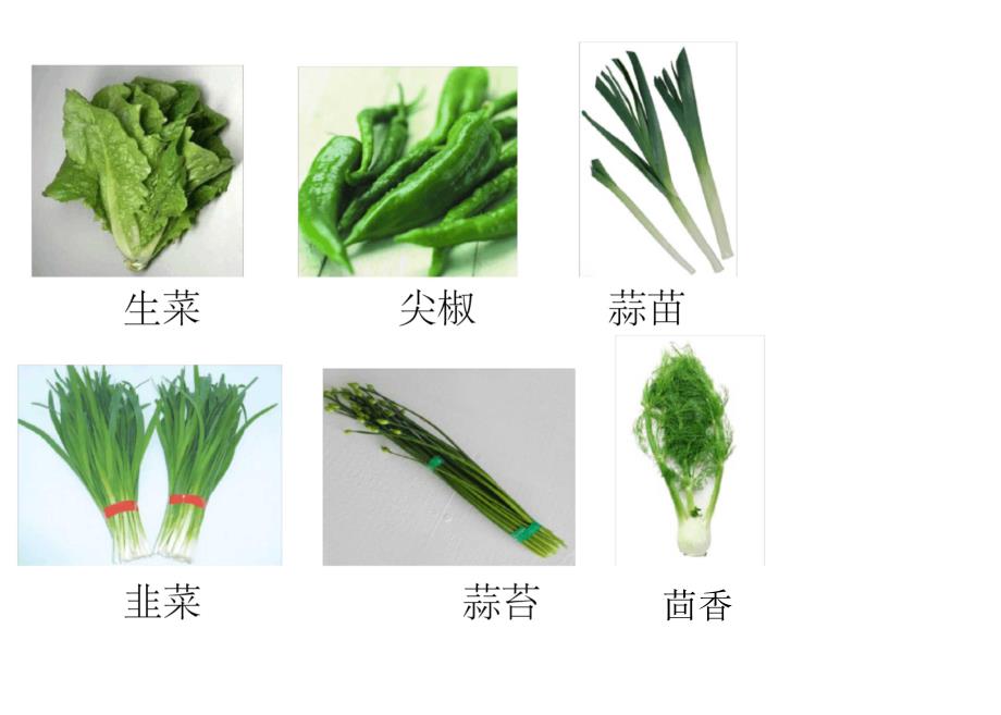 蔬菜图片大全_第4页