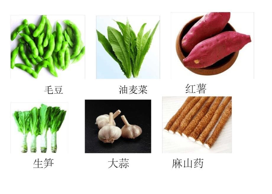 蔬菜图片大全_第5页