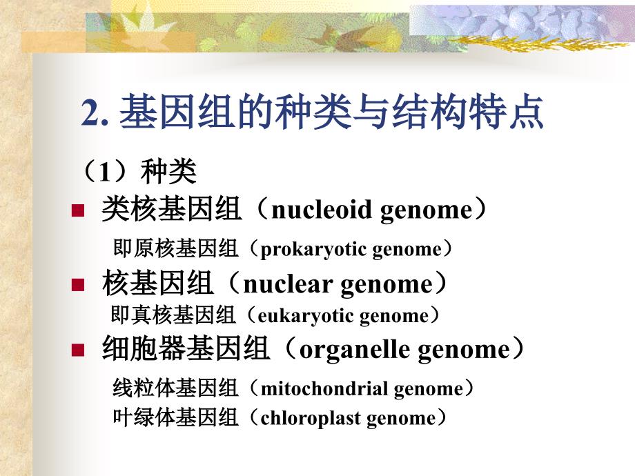 分子生物学20052_第3页