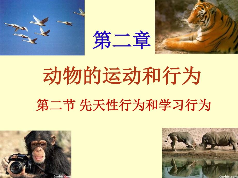 八年级生物先天性行为和学习行为_第1页