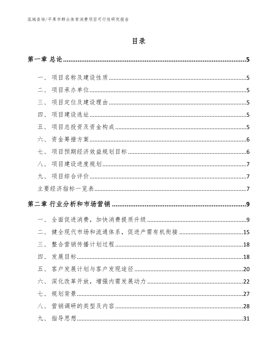 平果市群众体育消费项目可行性研究报告参考范文_第1页