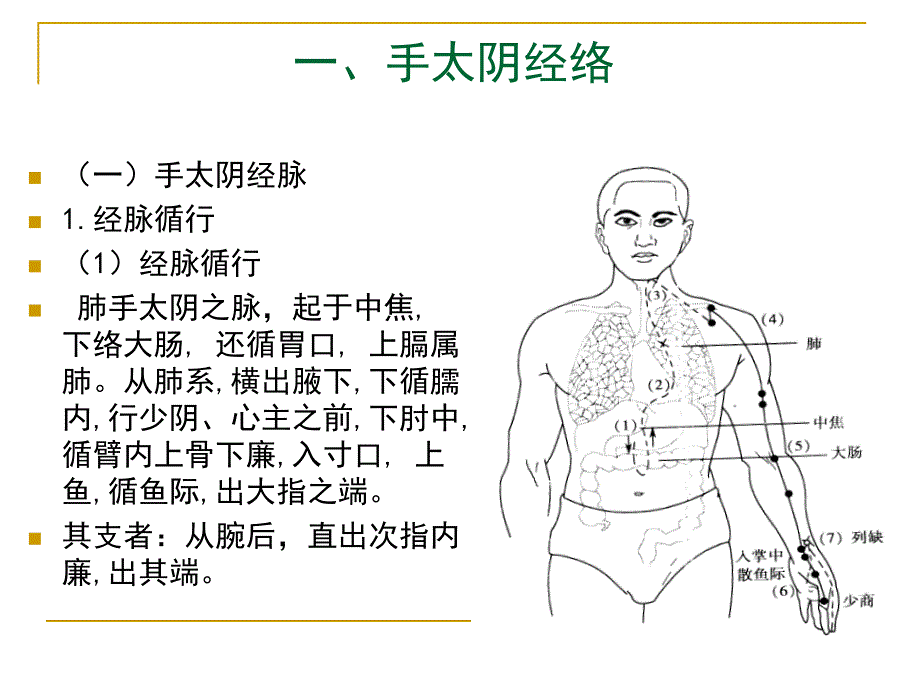 经络学手太阴肺经_第2页