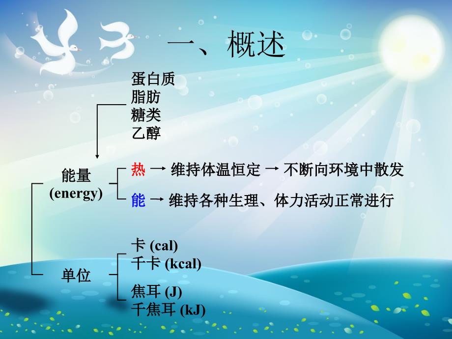 营养学能量的计算ppt课件_第1页
