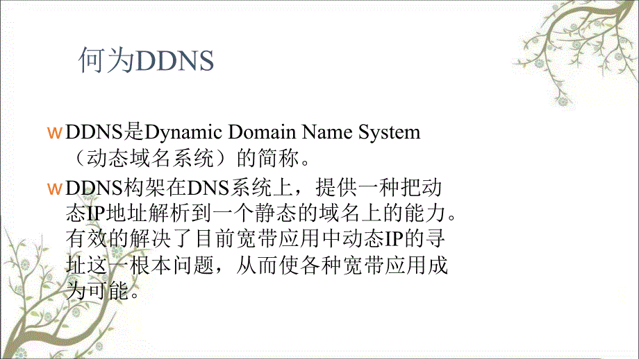 动态域名解析系统解决方案介绍课件_第4页