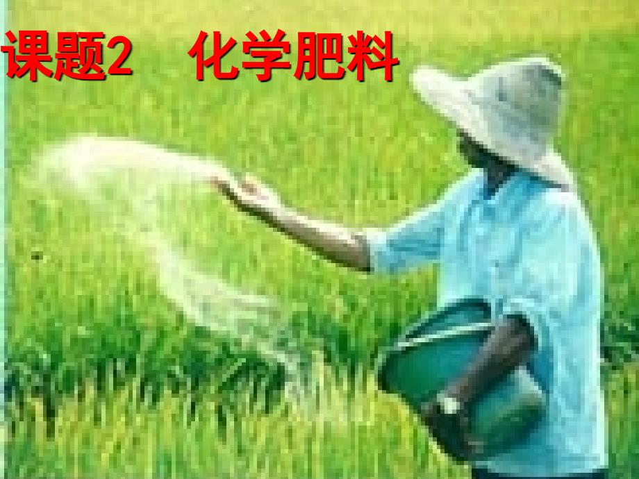 课题2化学肥料好_第1页