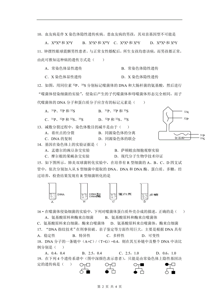 高中生物必修2期中测试题.doc_第2页