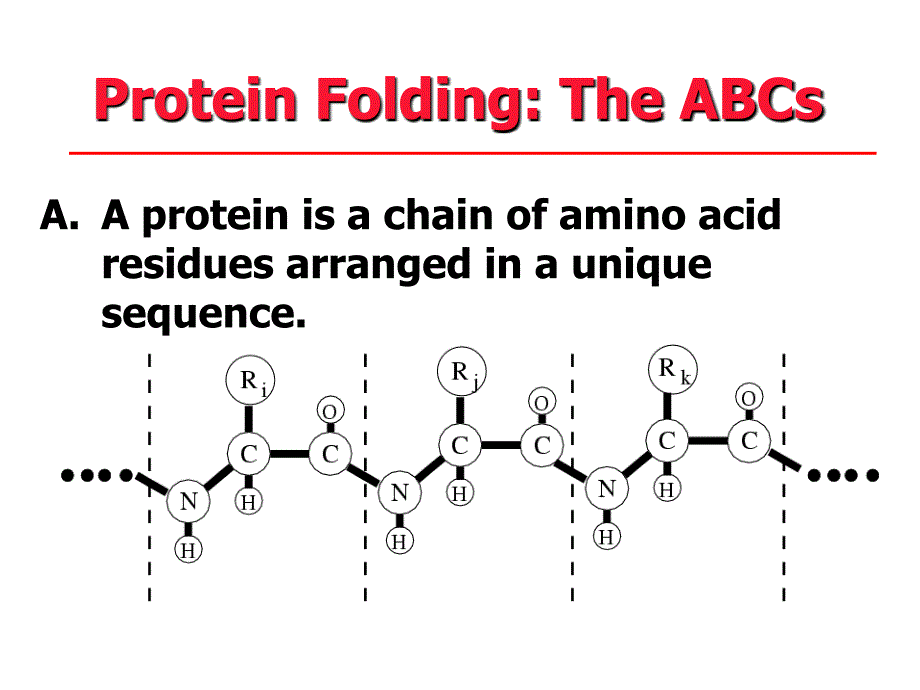 Lattice Models of Protin FoldingNorth Carolina State University北卡罗来纳州立大学的格子模型的蛋白质折叠_第2页