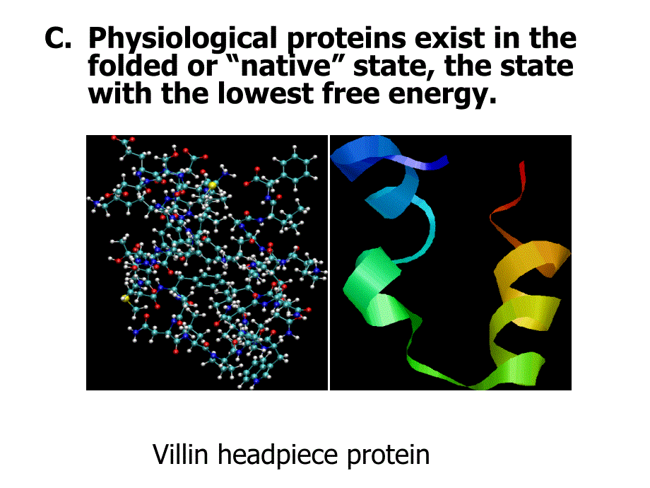 Lattice Models of Protin FoldingNorth Carolina State University北卡罗来纳州立大学的格子模型的蛋白质折叠_第4页