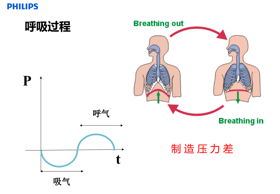 无创通气原理PPT课件_第4页