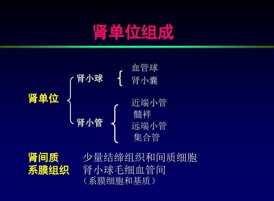 肾内科概论 ppt课件_第5页