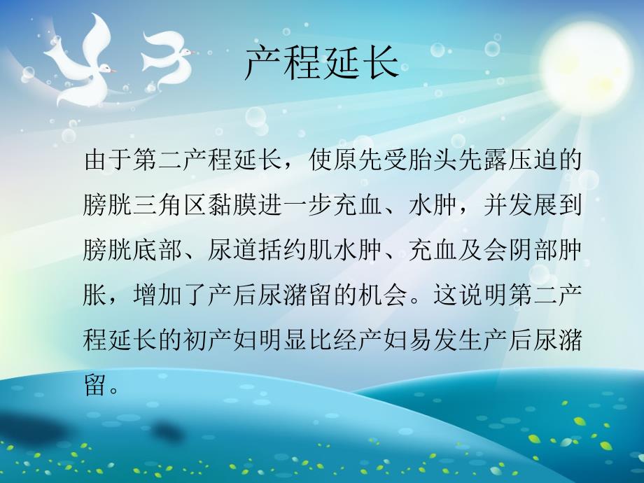 产后尿潴留ppt课件_第4页