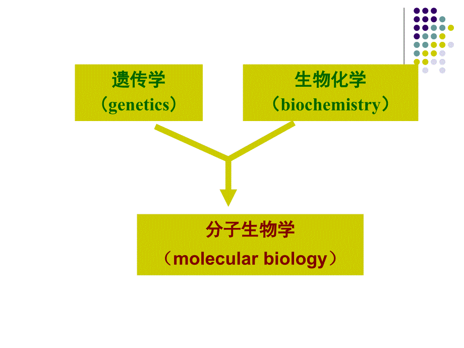 分子生物学的发展历史_第4页