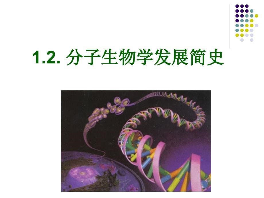 分子生物学的发展历史_第5页