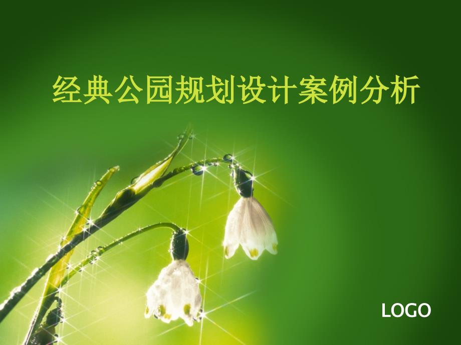 经典公园规划设计案例分析全解_第1页