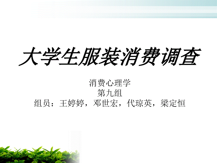 大学生服装消费调查PPT_第1页