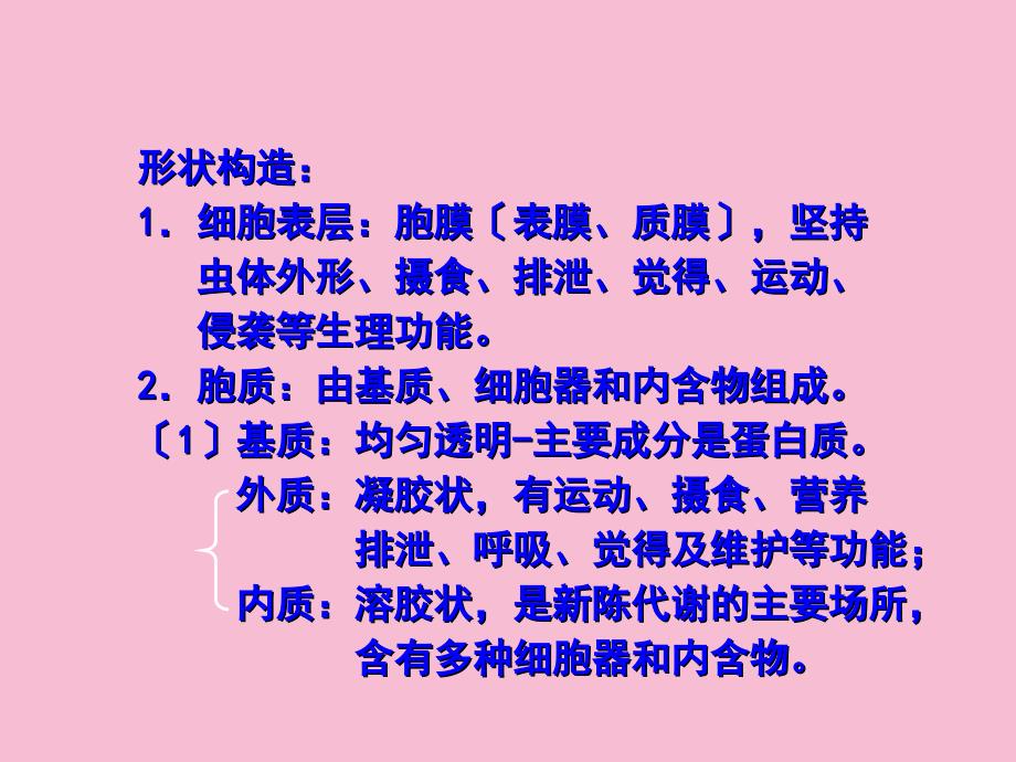 第十四节溶组织内阿米巴ppt课件_第2页