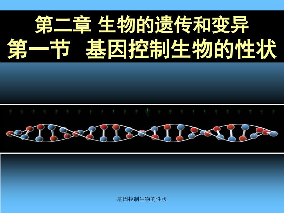 基因控制生物的性状_第1页