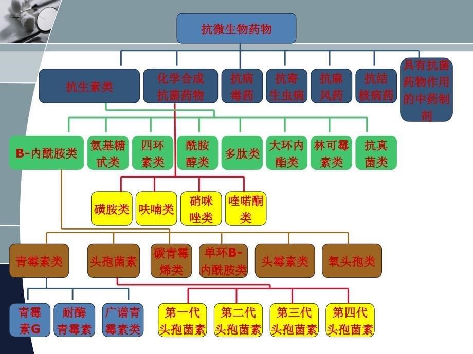 农村基层医院抗菌药物合理应用培训课件_第5页