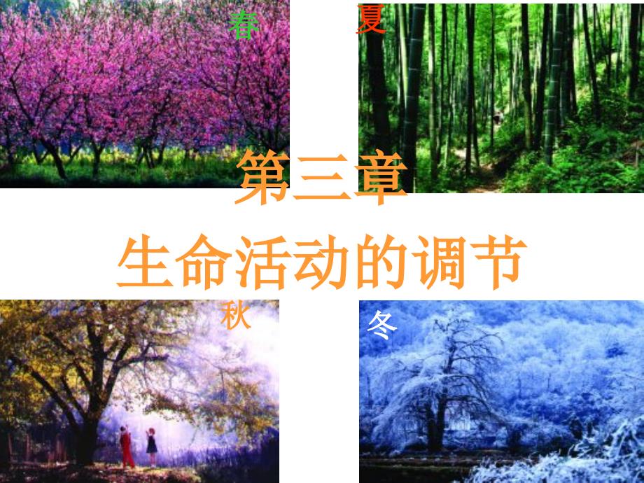 环境对生物行为的影响.ppt_第1页