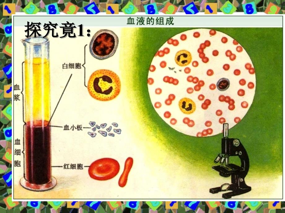 第一节物质运输的载体_第2页