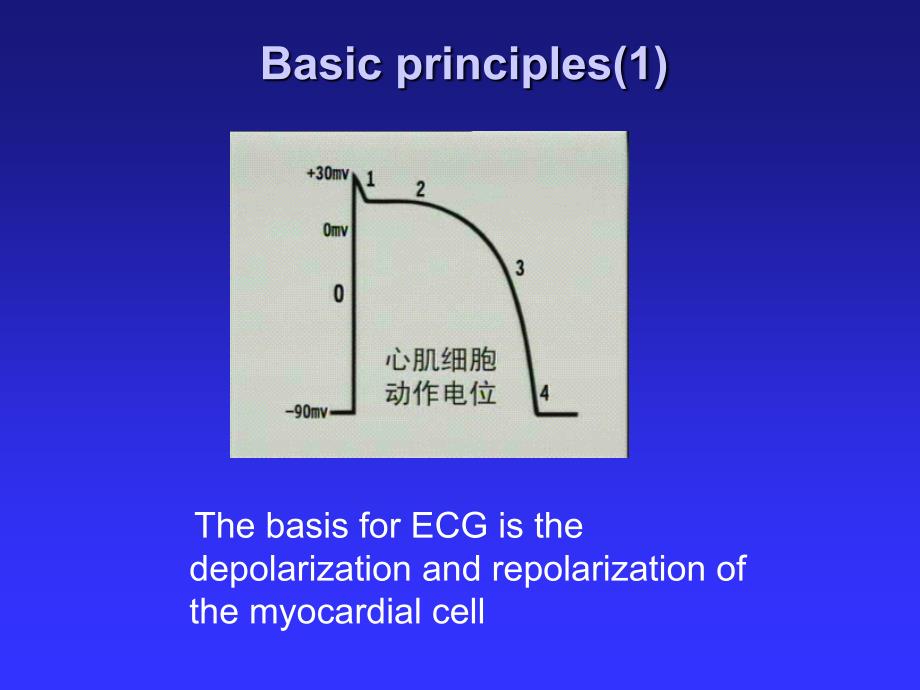 临床诊断学周蕾心电图正常_第3页