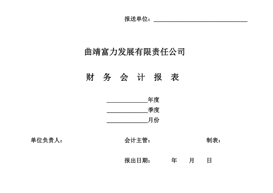 公司空白财务报表_第1页