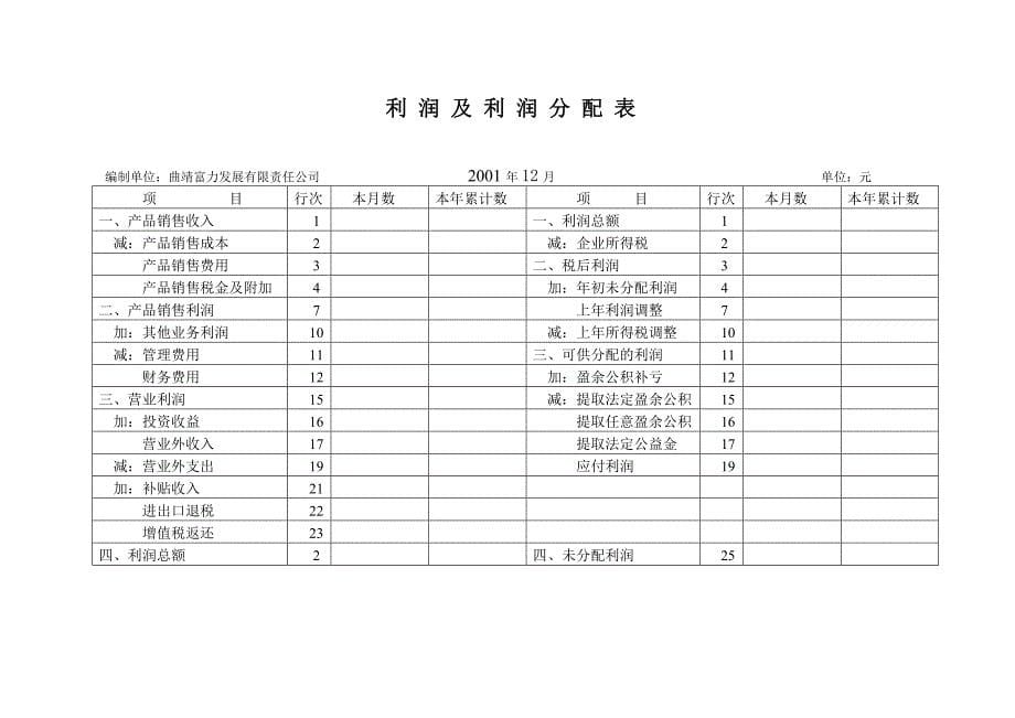 公司空白财务报表_第5页