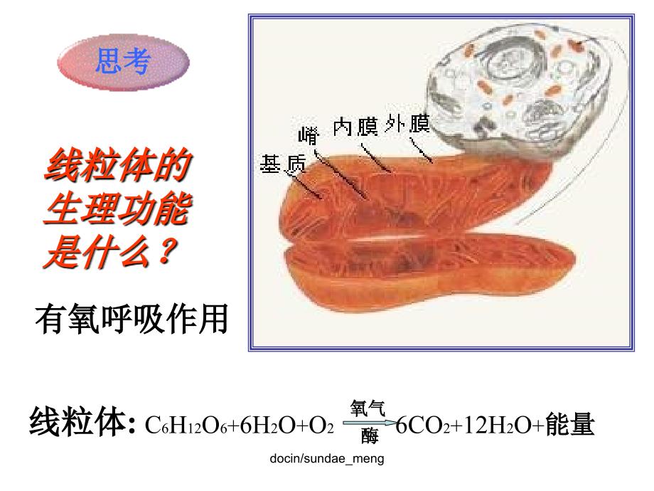 中学课件细胞的物质代谢_第2页