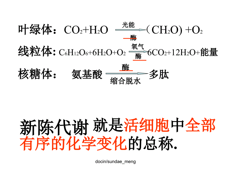 中学课件细胞的物质代谢_第4页