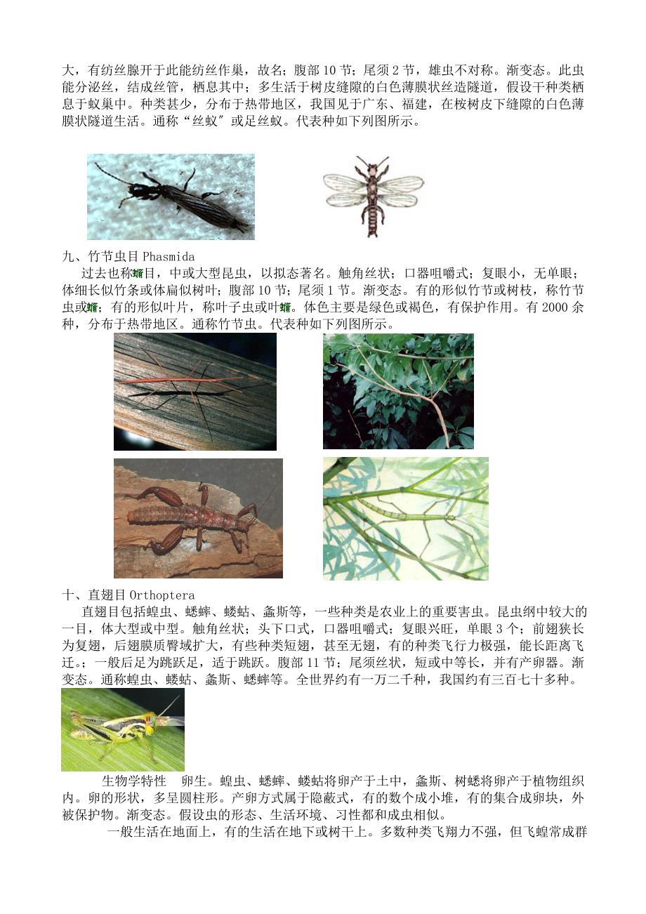 最全面的昆虫纲各目和主要科的识别特征_第3页