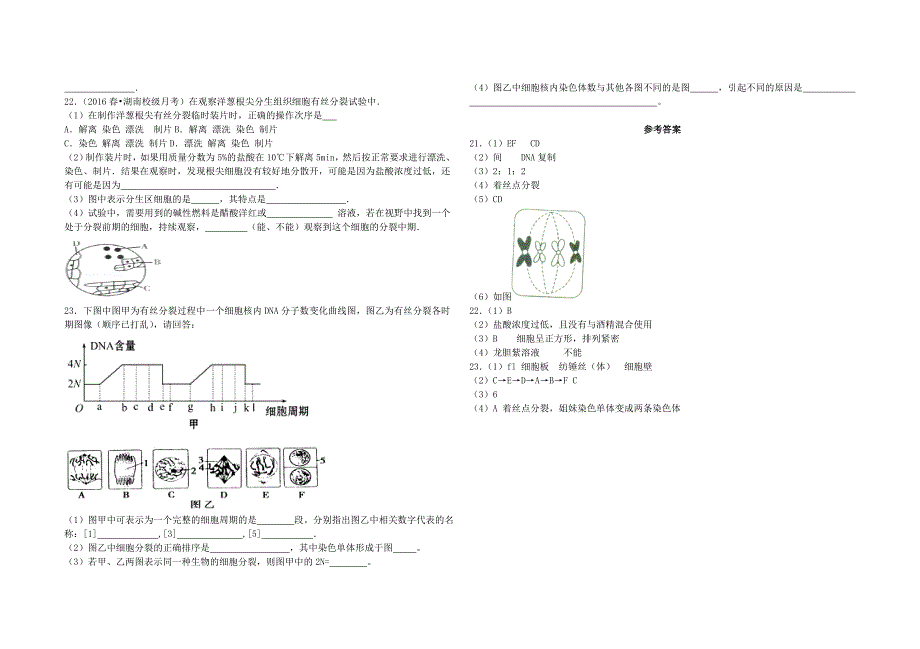 有丝分裂专题训练（附答案）_第3页