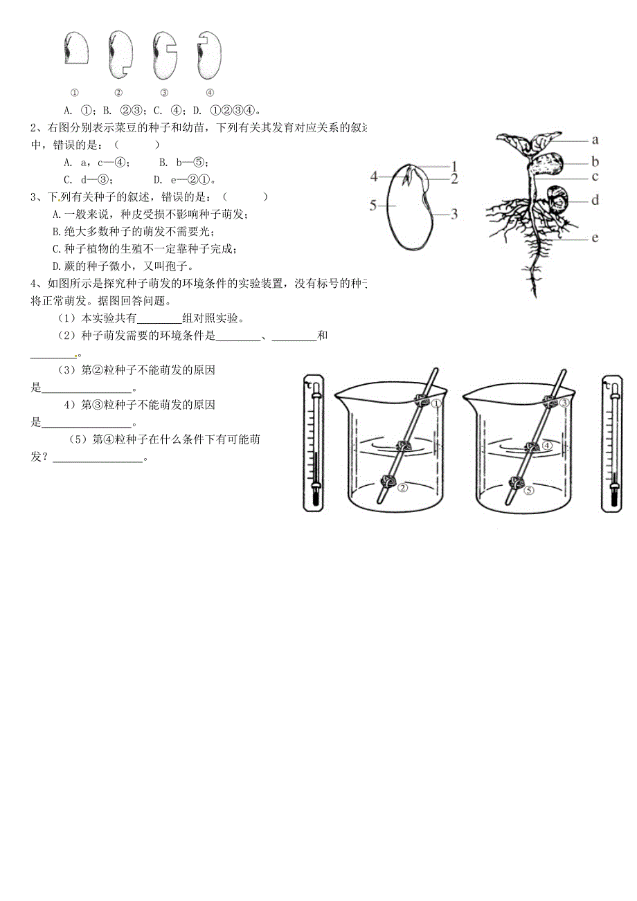 天津市小站第学七年级生物上册3.2.1种子的萌发导学案无答案新人教版_第2页