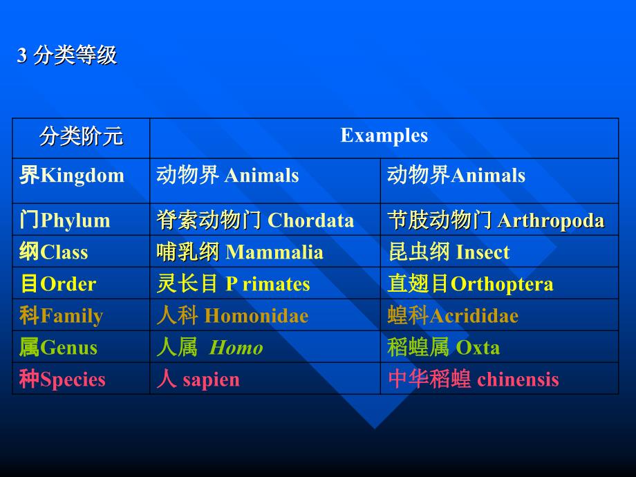 第三章动物的分类及其系统发生_第3页