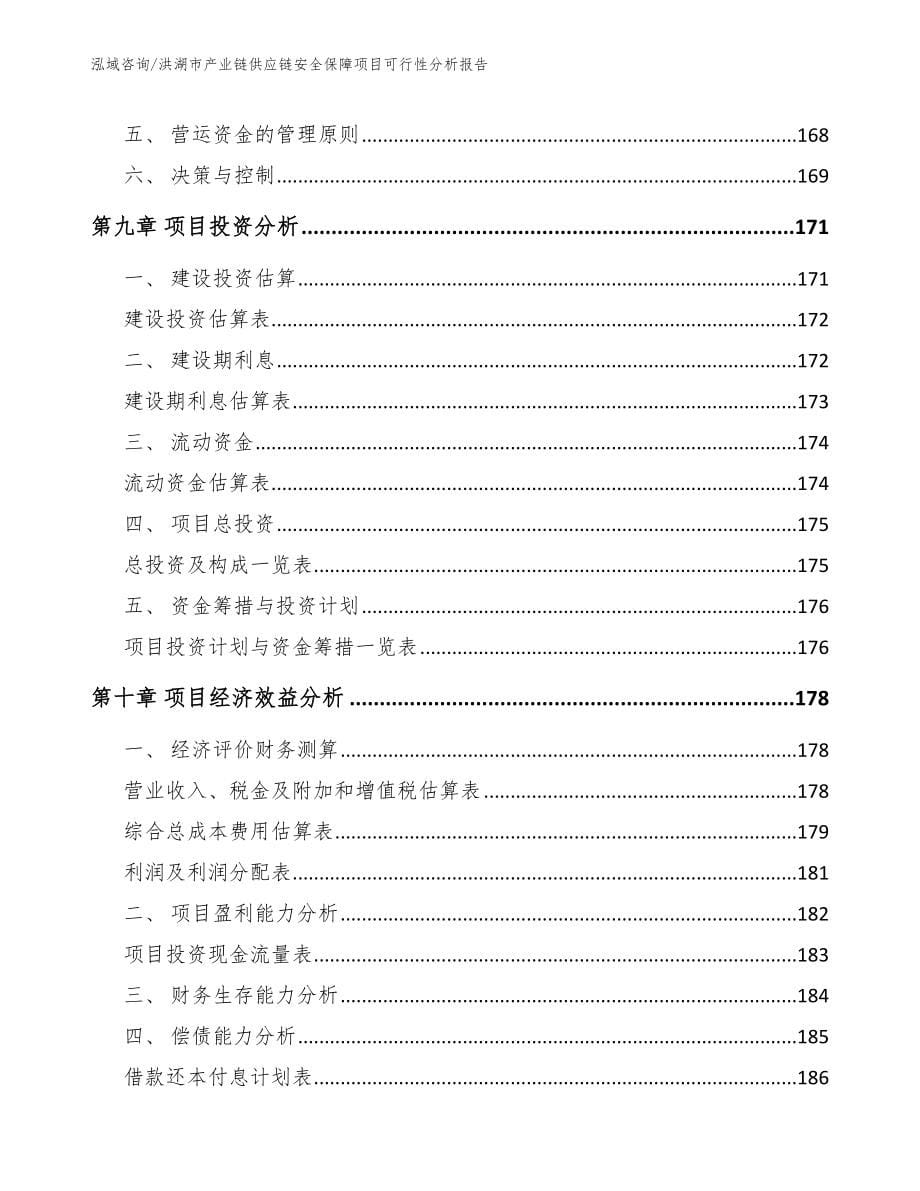 洪湖市产业链供应链安全保障项目可行性分析报告_范文_第5页