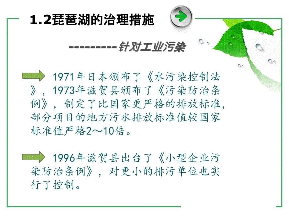 国外典型水环境_第5页