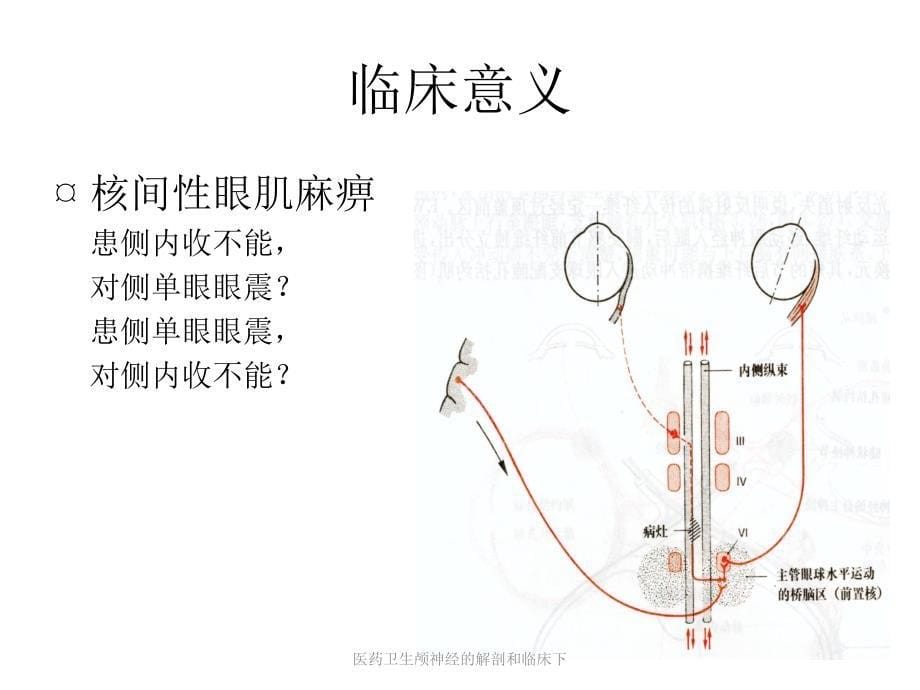 医药卫生颅神经的解剖和临床下课件_第5页