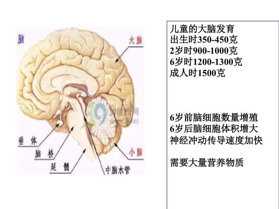 养生保健师培训金菇与好忆思_第5页