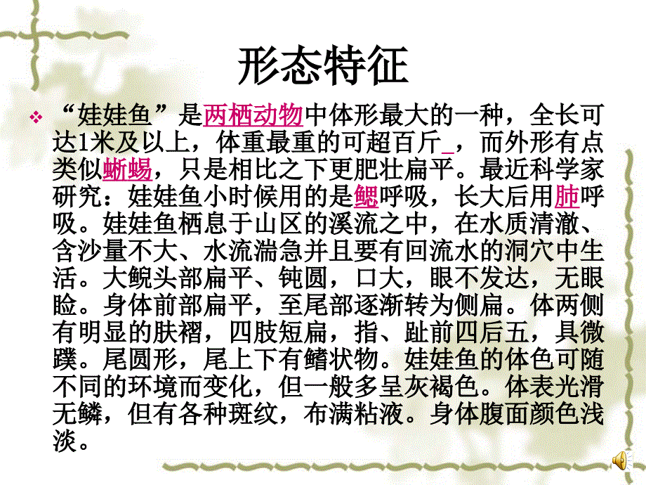 大鲵娃娃鱼规模化养殖技术教程演示_第2页