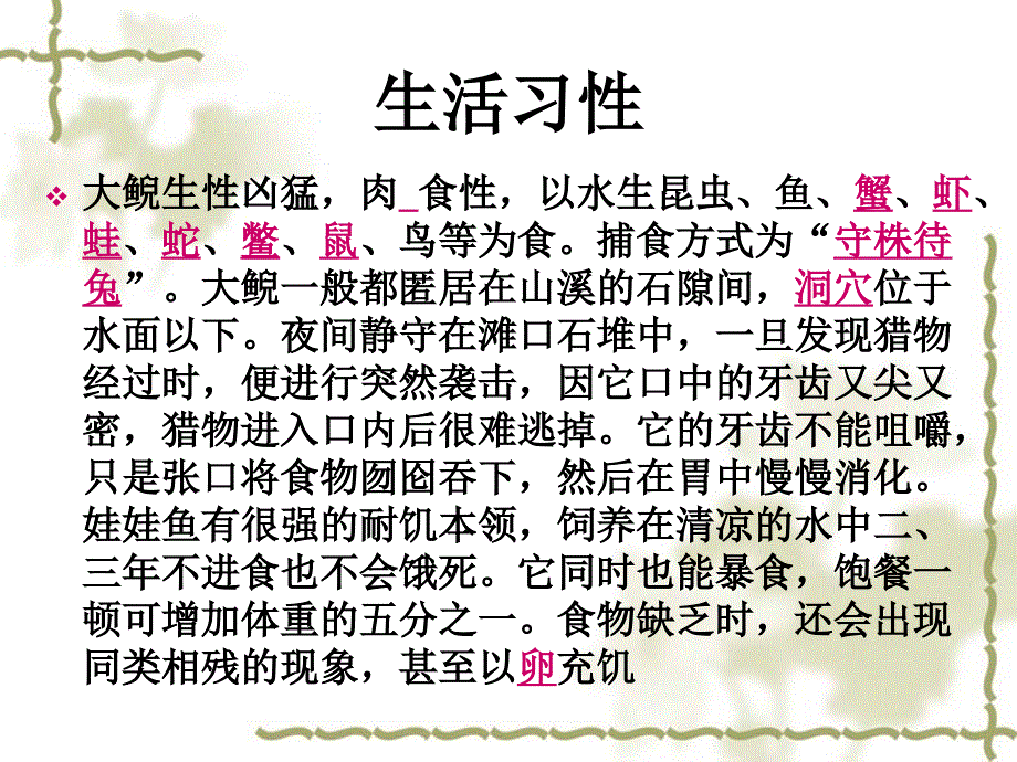 大鲵娃娃鱼规模化养殖技术教程演示_第4页