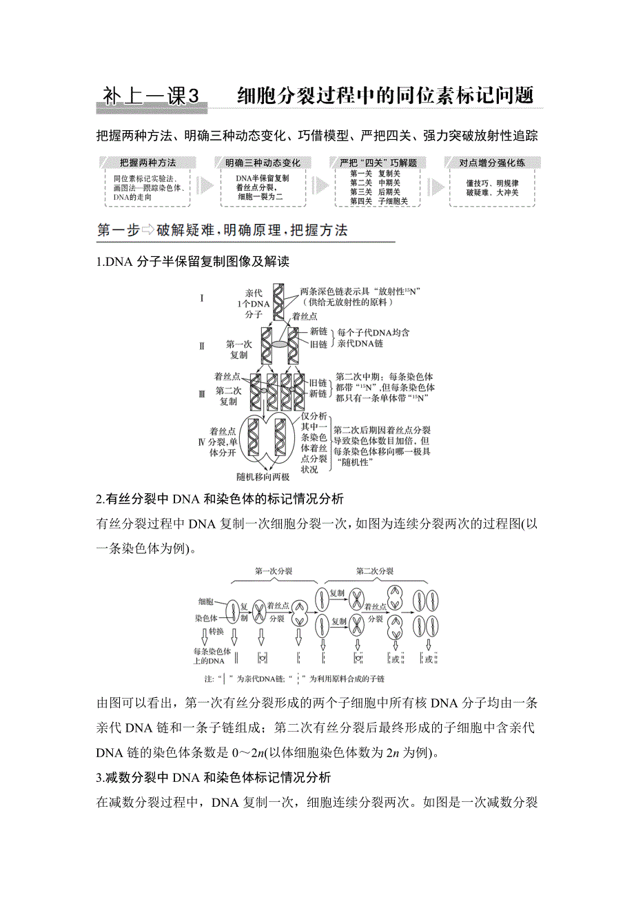 补上一课3细胞分裂过程中的同位素标记问题.do_第1页