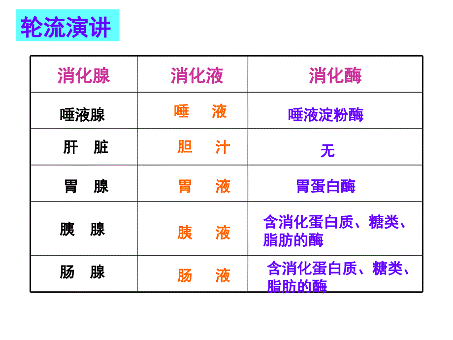 食物消化吸收的过程_第3页