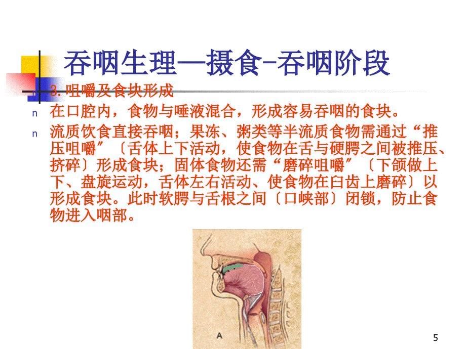 中风病吞咽妨碍的评价与康复_第5页