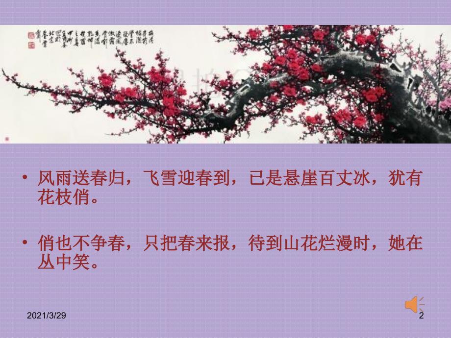 梅竹言志课堂PPT_第2页