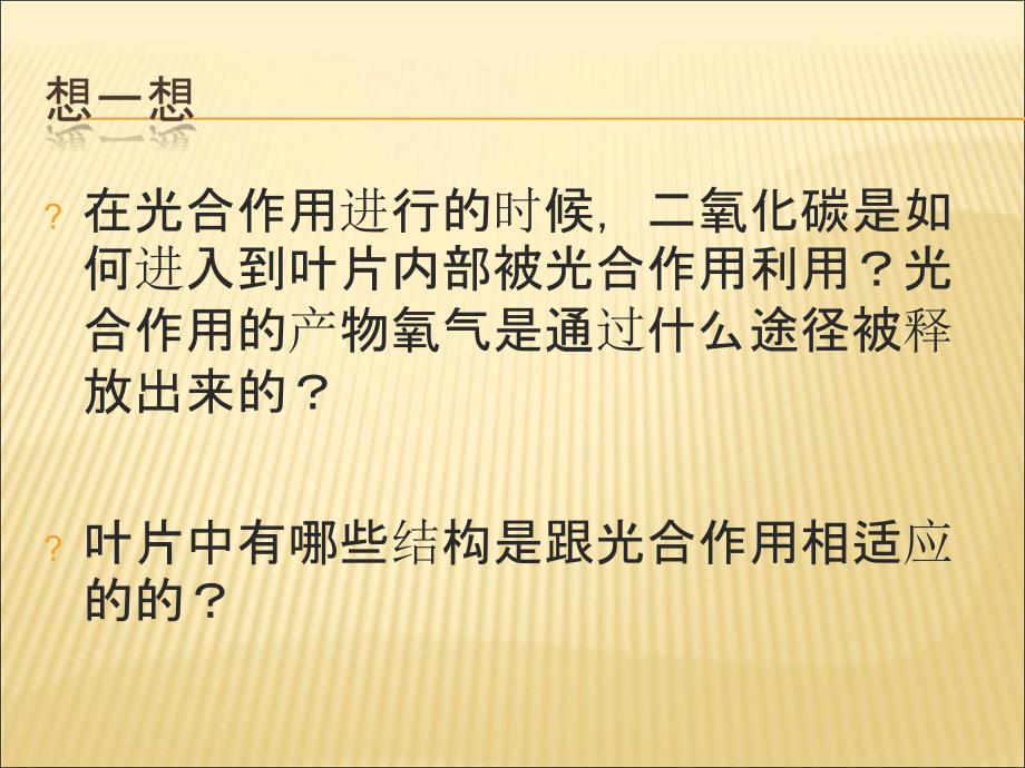 叶是植物进行光合作用的主要器官课件_第2页