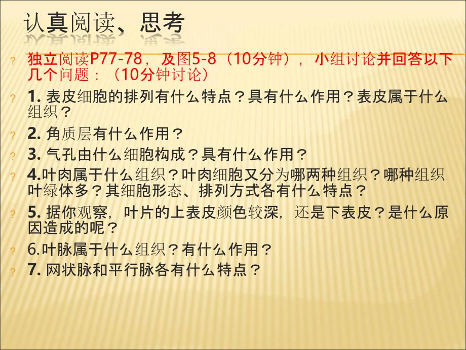 叶是植物进行光合作用的主要器官课件_第5页