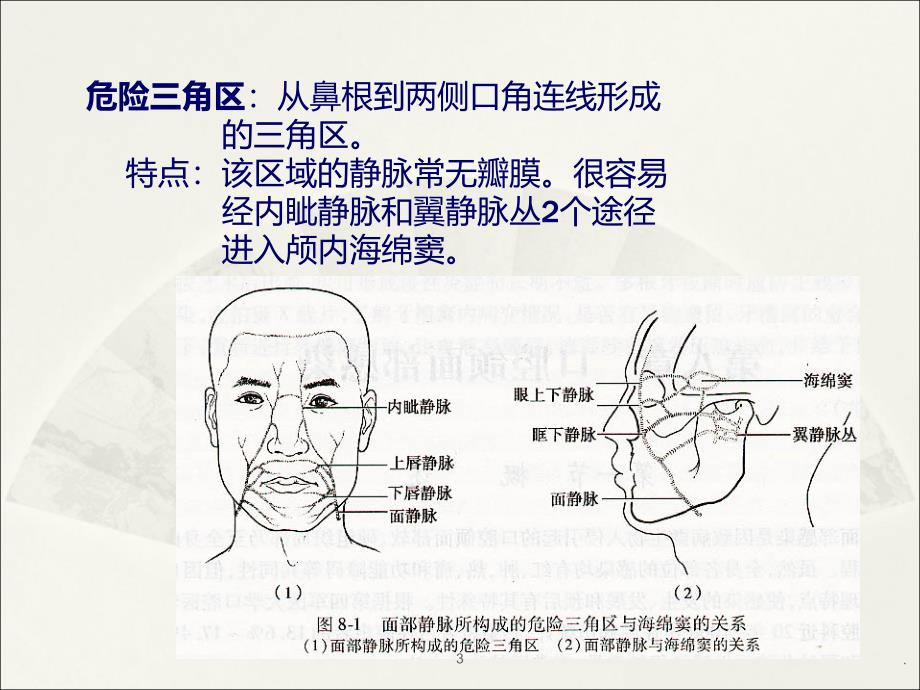 颌面部间隙感染新解课件_第3页