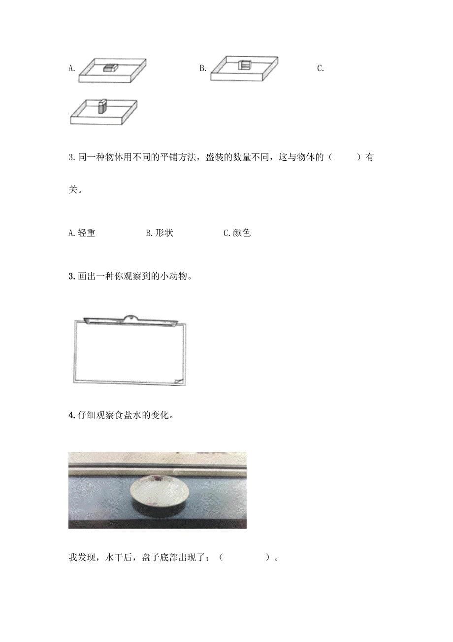 新教科版一年级下册科学期末测试卷精品【模拟题】.docx_第5页